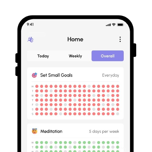 Habitly habit tracker app showing daily habit tracking interface and progress visualization